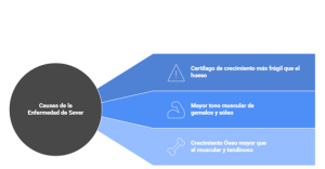 Factores de la Enfermedad de Sever: crecimiento, carga e incremento de tensión del Aquiles